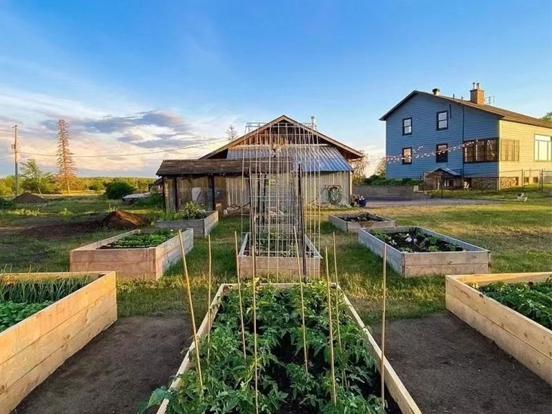 e6921473-cad8-41ab-af61-53a3372cb126.__CR0,0,800,600_PT0_SX800_V1___