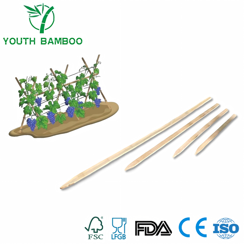 Natural Bamboo Stakes