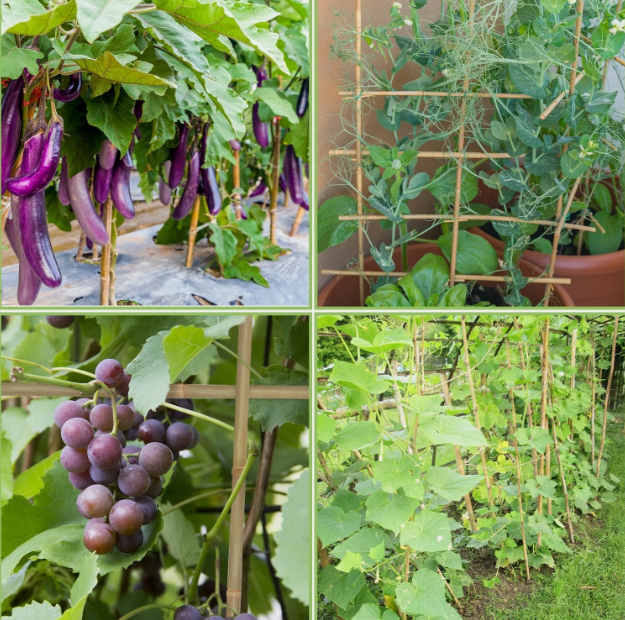 ScreenShot_2025-12-12_132236_195